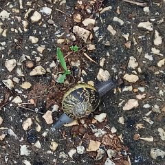 IMG_20180212_134641