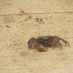 IMG_7296