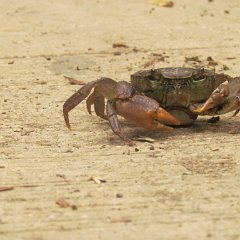 IMG_7297