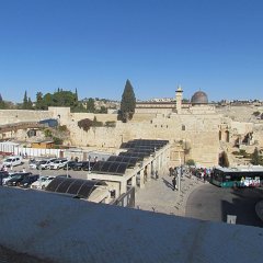 IMG_7541