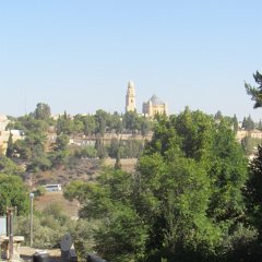 IMG_7548