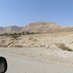 IMG_7549