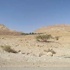 IMG_7550