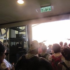 IMG_7558