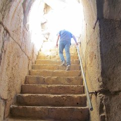 IMG_7603