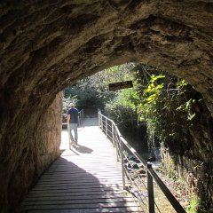 IMG_7624