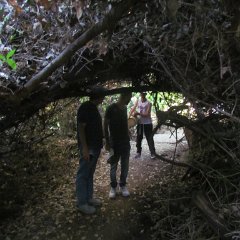 IMG_7647