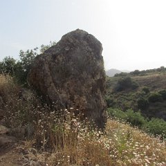 IMG_7213