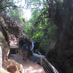 IMG_7253