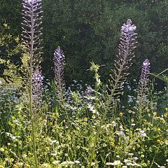 IMG_20190413_084138