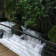 IMG_20190413_091235
