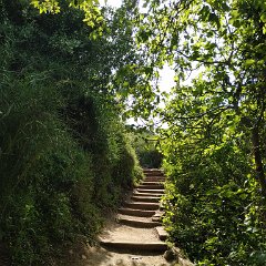 IMG_20190413_094031