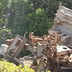 IMG_20190413_094934