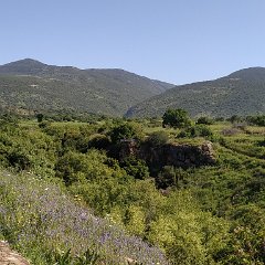 IMG_20190413_095049