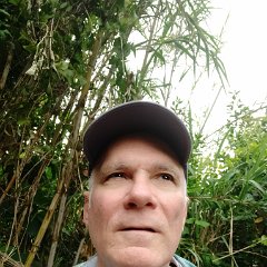 IMG_20190427_090342