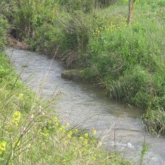 IMG_7877