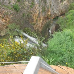 IMG_7905