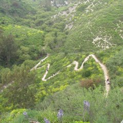 IMG_7907