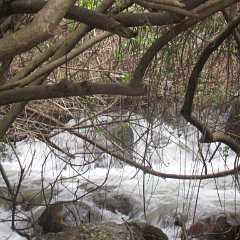 IMG_7915