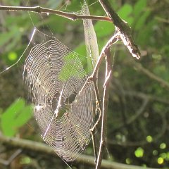 IMG_8179