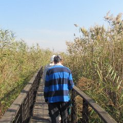 IMG_8353