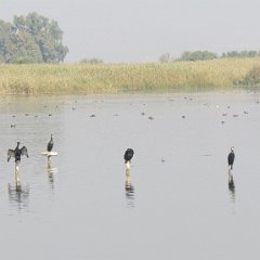 IMG_8363