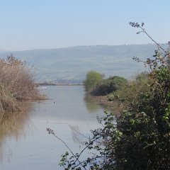 IMG_7806