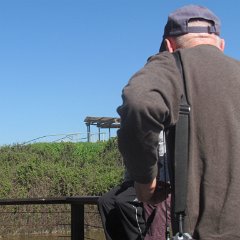 IMG_7807