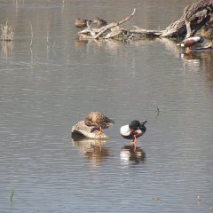 IMG_7815