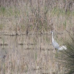 IMG_7816
