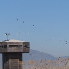 IMG_7818