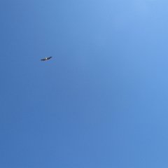 IMG_7823
