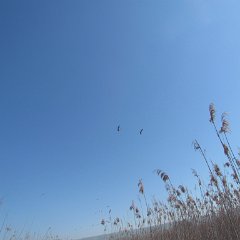 IMG_7824