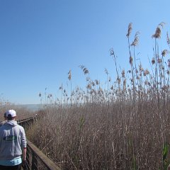 IMG_7825