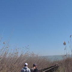IMG_7826