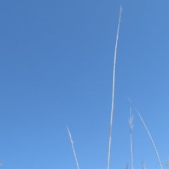IMG_7828