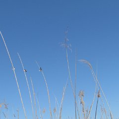IMG_7829