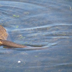 IMG_7838