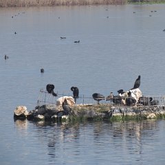 IMG_7840