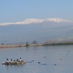 IMG_7841