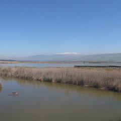 IMG_7844