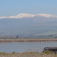 IMG_7845