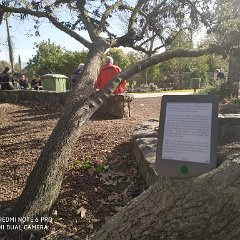 IMG_20190112_131655