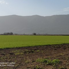 IMG_20190112_141936
