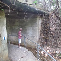 IMG_8014