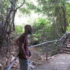 IMG_8015