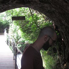 IMG_8017