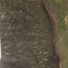 IMG_8018