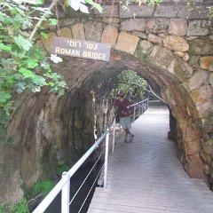 IMG_8020