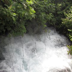 IMG_8021